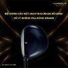 Gay Fairway XXIO Prime 2 1