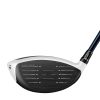 SIM2 Max Driver 2