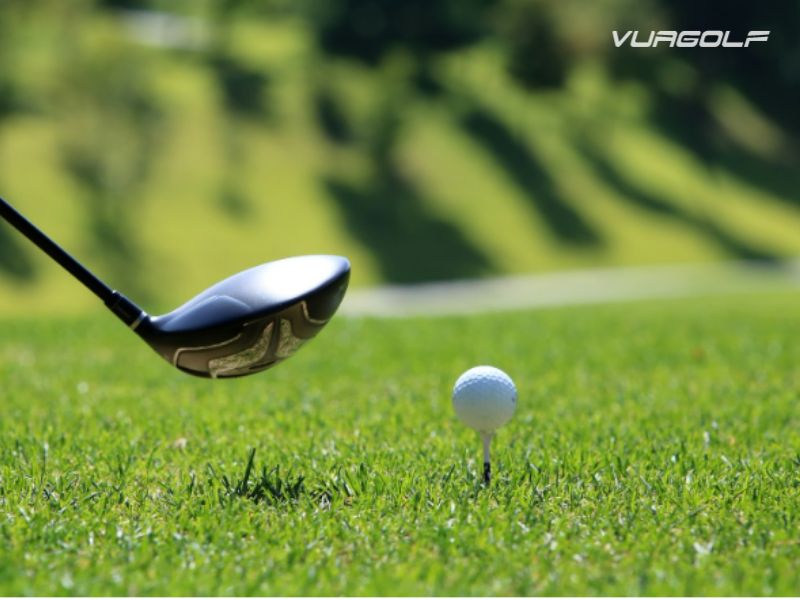 thi công sân golf công ty