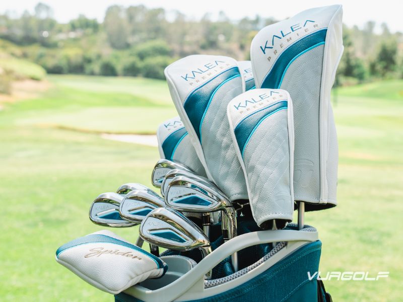 gậy golf taylormade giá bao nhiêu