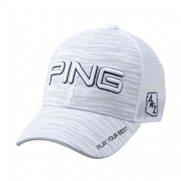 ping 36177 01 wh
