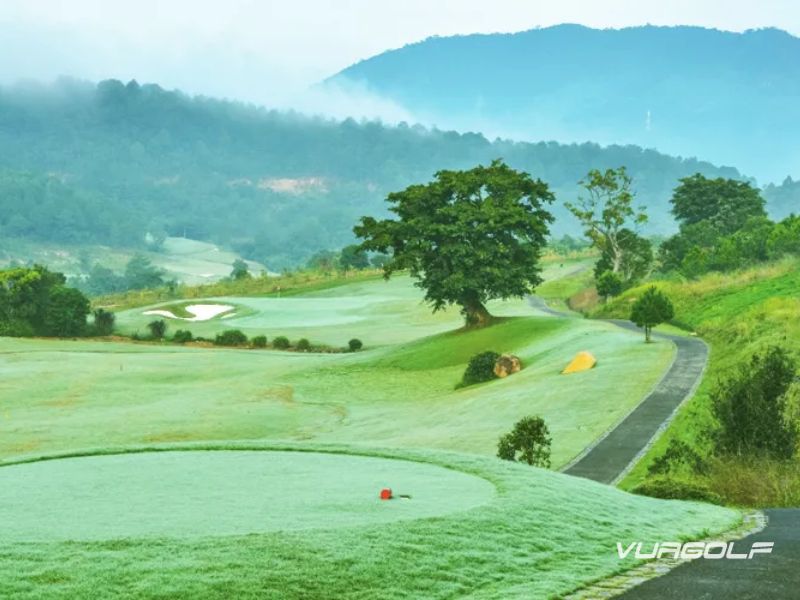 sân golf đà lạt 1200