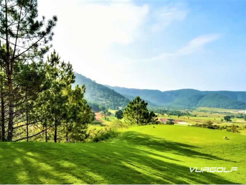 Lịch sử sân golf đồi cù