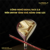 Bo Gay Golf Fullset Honma Beres S08 Aizu 5 Sao 13g 3