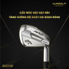 Bo gay sat Callaway APEX Pro 21 DG S200 6 gay 3