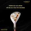 bo gay fullset honma beres s08 alzu 3sao ladies 11g 8