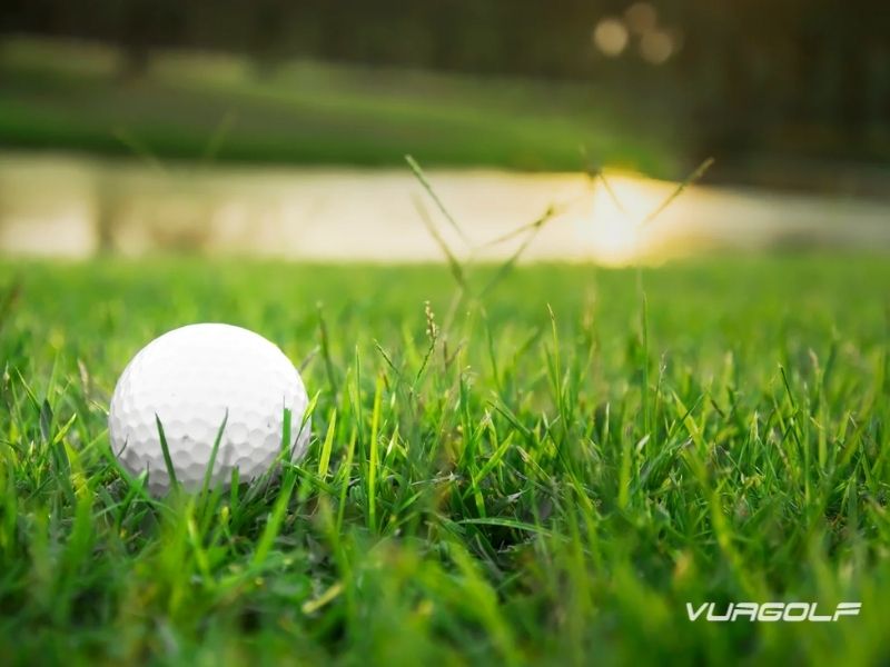 Top 8 loại cỏ sân golf tốt nhất - Kỹ thuật chăm sóc cỏ từ chuyên gia 2 cỏ sân golf Bermuda