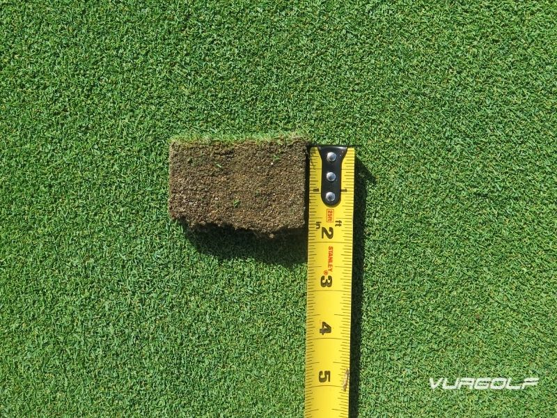 Top 8 loại cỏ sân golf tốt nhất - Kỹ thuật chăm sóc cỏ từ chuyên gia 3 cỏ sân golf poa