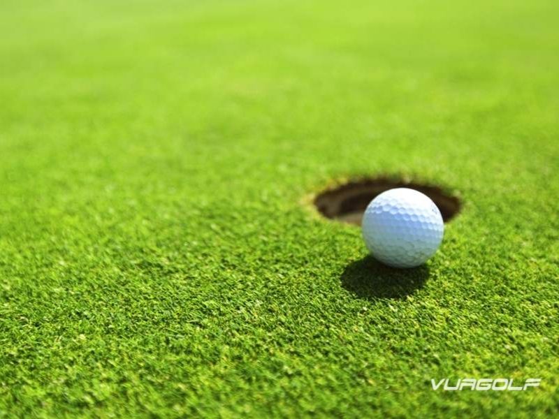 Top 8 loại cỏ sân golf tốt nhất - Kỹ thuật chăm sóc cỏ từ chuyên gia 1 cỏ sân golf